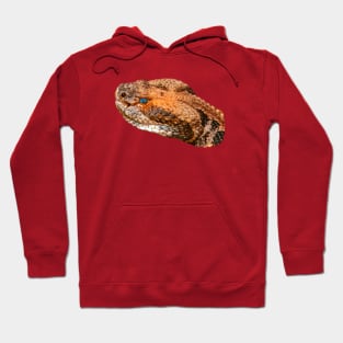 Cane Break Rattlesnake Hoodie